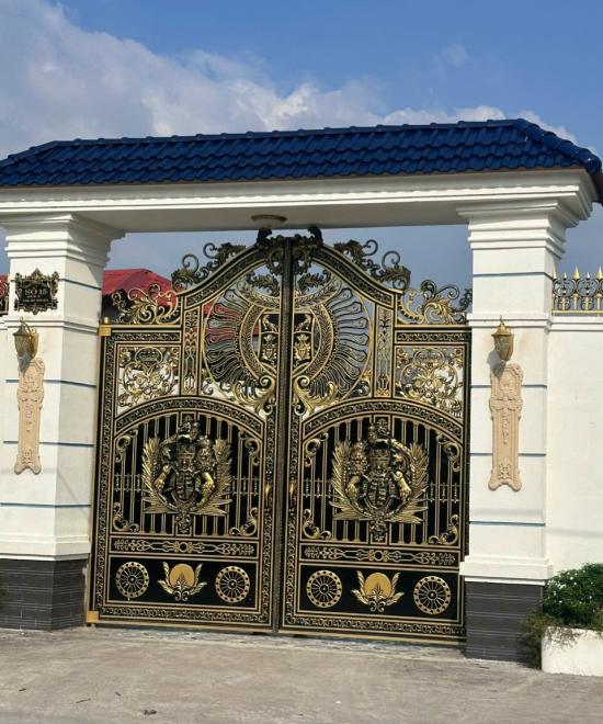 CỬA CỔNG LĐT 29