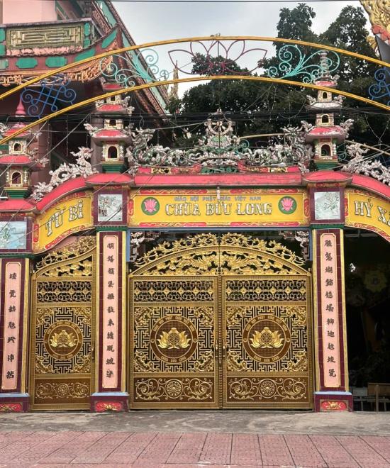 CỬA CỔNG LĐT 29