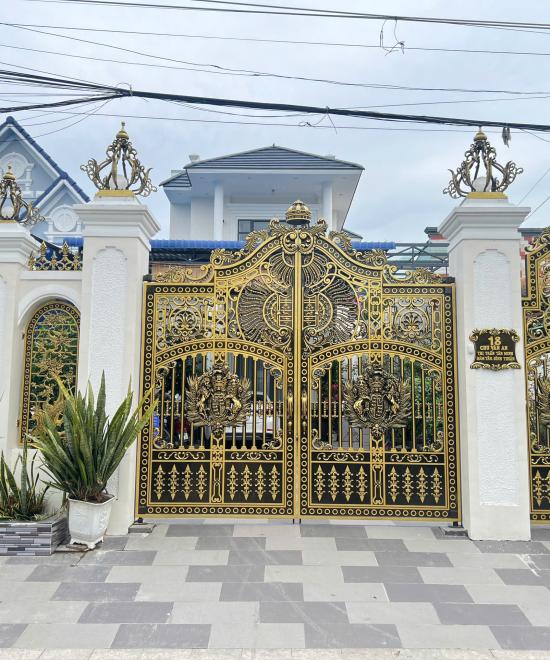 CỬA CỔNG LĐT 113