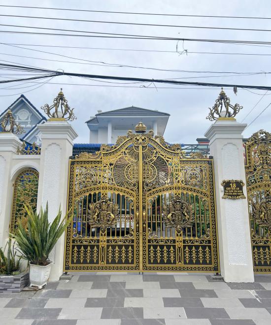 CỬA CỔNG LĐT 113