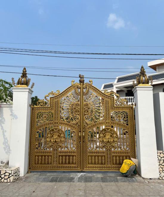 CỬA CỔNG LĐT 117