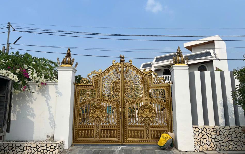 CỬA CỔNG LĐT 117