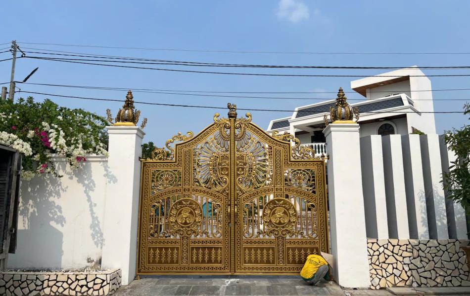 CỬA CỔNG LĐT 117